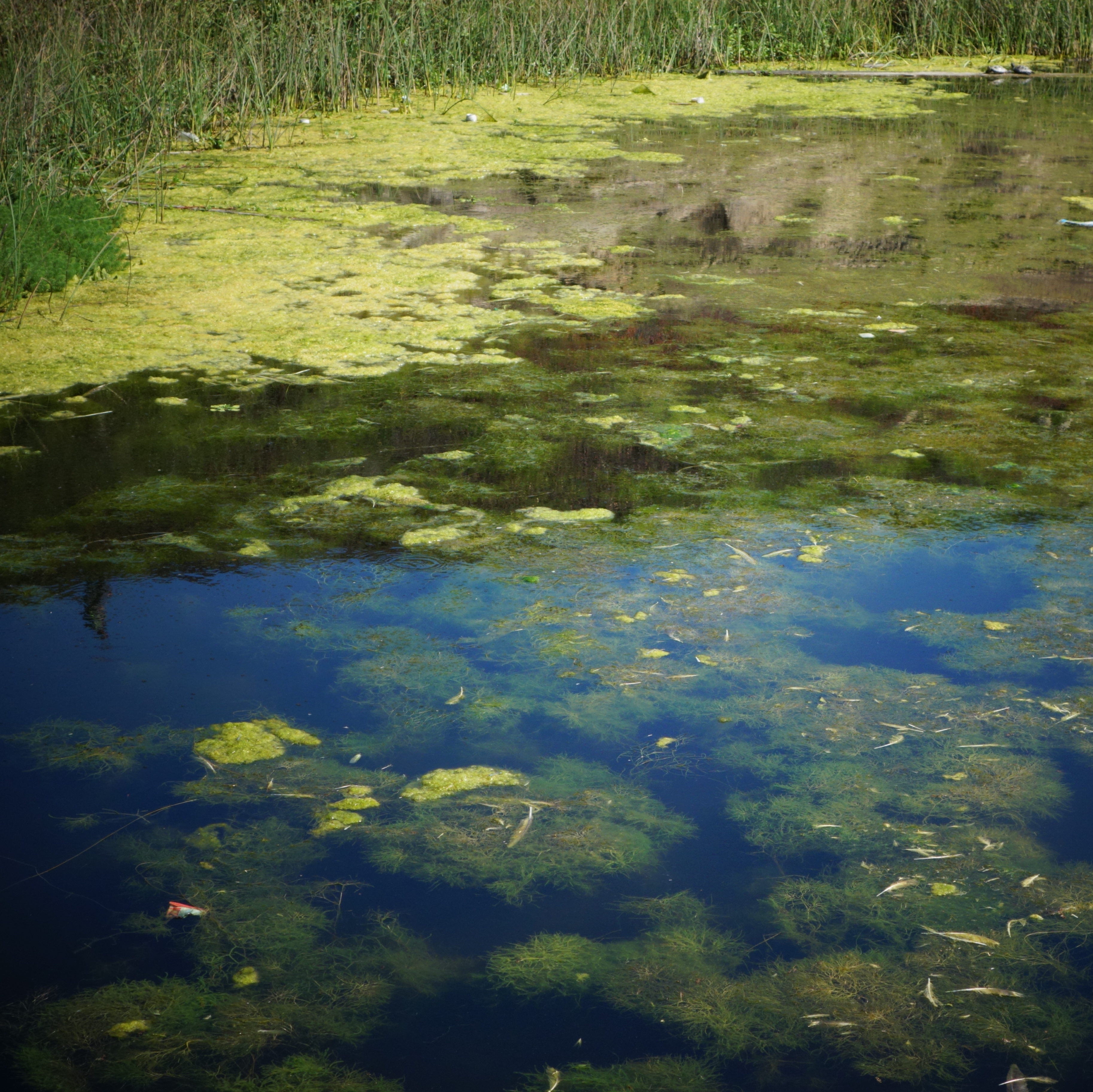 How Do We Define Nature?